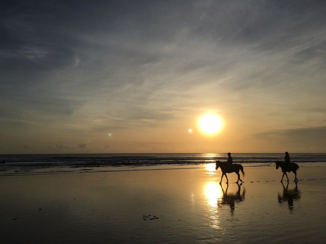 bali_seminyak_horses
