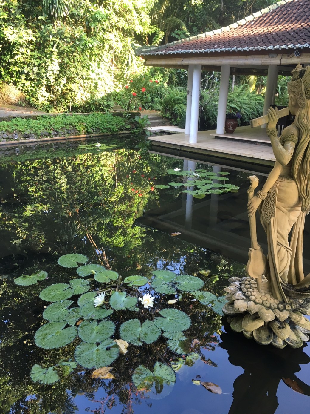 bali-setting-up-morning-yoga-oct-2016