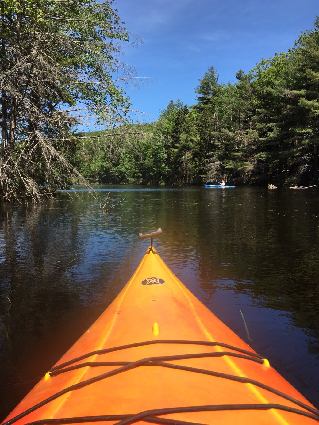 june_kayakGpond