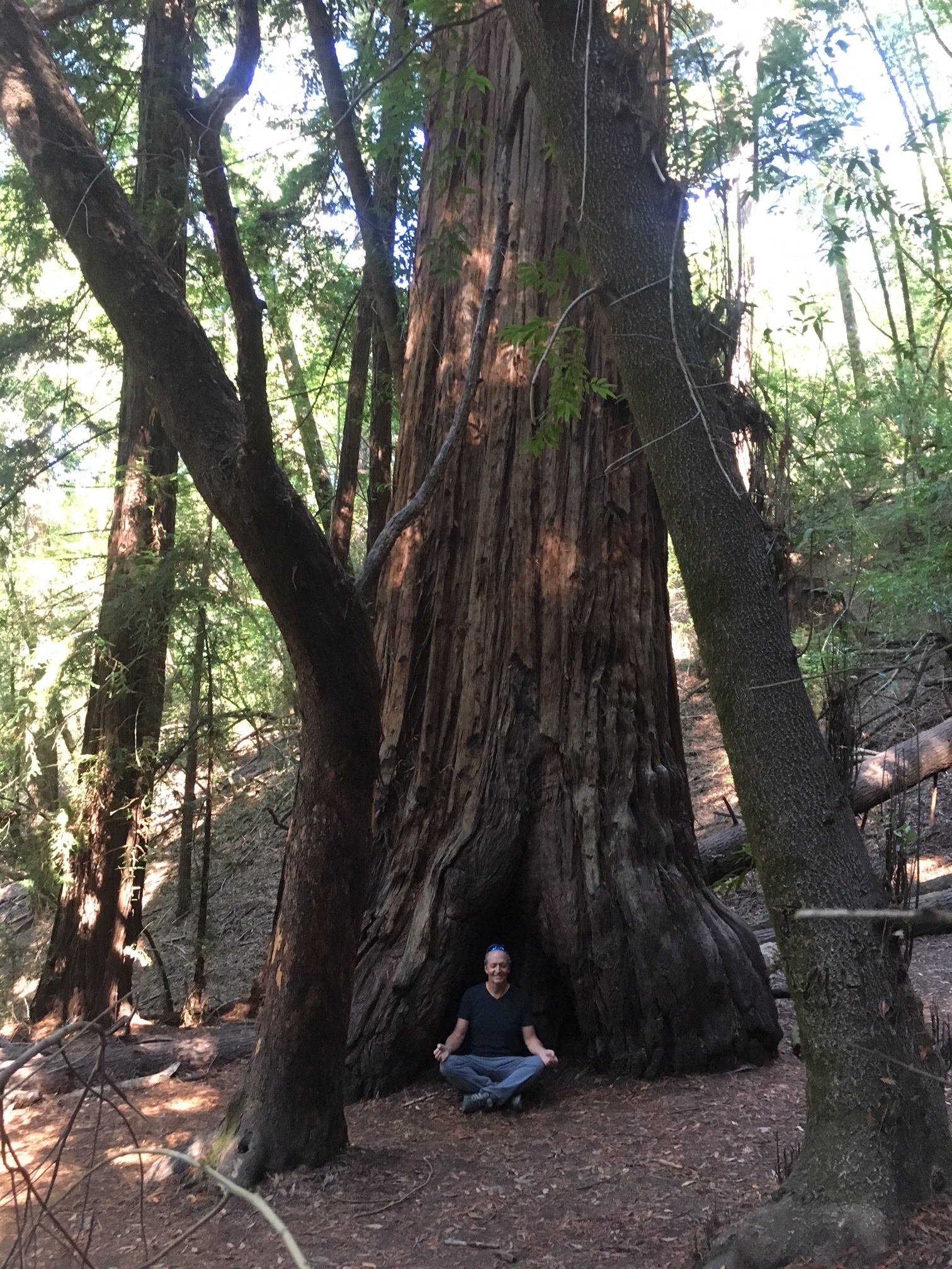 rl_ArmstrongWoodsMeditationME!